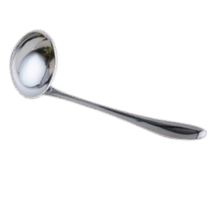 Ladle SS Serving Long 28cm