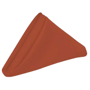 Table Napkin Rust 18x18in