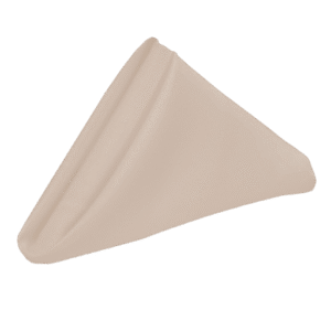 Table Napkin Beige 18x18in