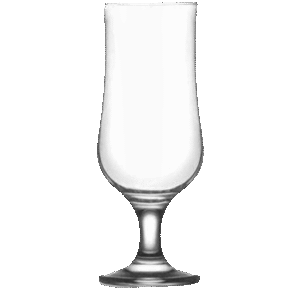 NEV576 Beer 385ml