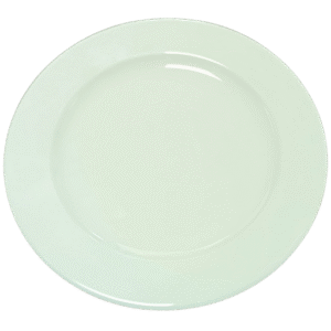 T8601804 8 inch Plate