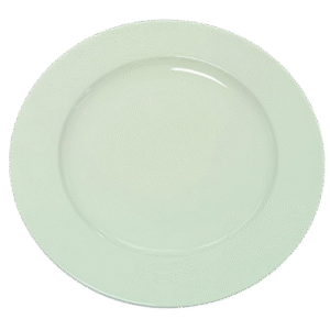 T8603248 10.5 inch Plate