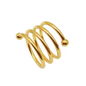 Golden Napkin Ring