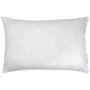 Pillow 20X 30in