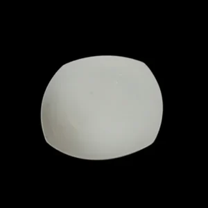 Square Plate Side 8in