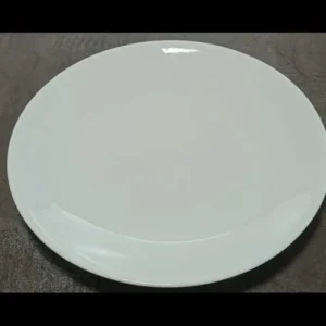 T8602373 10 inch Plate