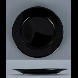 T1800099 10.5 inch flat plate Black