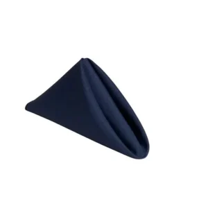 Table Napkin Blue 18x18