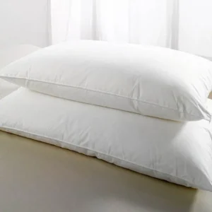 Pillow Microfiber 17X 27