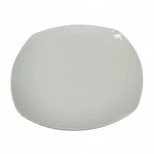 Square Plate  Dinner 12"