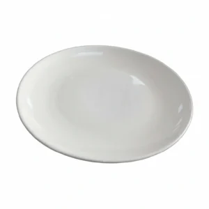 Ceramic Dinner Plate 12" 30cm