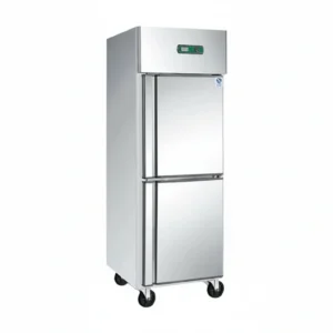 2 Door 2 in 1 Fridge