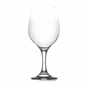 FAM563Z Wine Glass 480ml