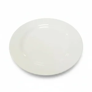 Round Flat Plate White 11"