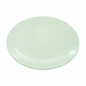 T8601931 8 inch Plate