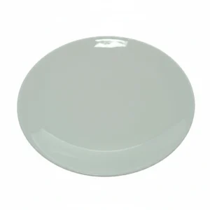 T8602480 11 inch Plate