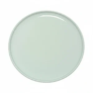 T5502460 12 inch Pizza Plate