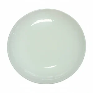T1800195 18" deep plate