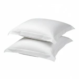 Plain Pillow Cover 250TC   21x31"