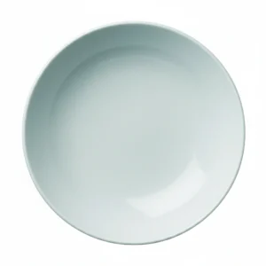 Coupe Plate 22cm 8.5"